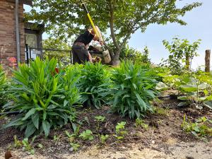 Alles omtrent uw tuin